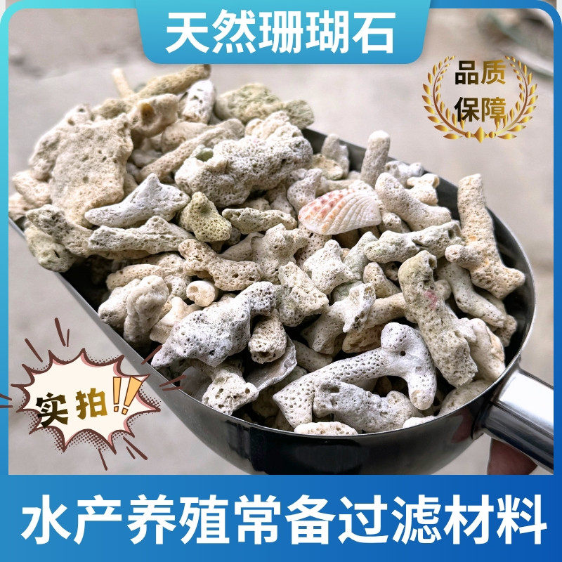 纯天然珊瑚石鱼缸鱼池净水滤材