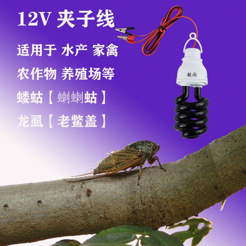 知了诱捕灯12V紫光诱虫灯户外果园鱼塘养殖场昆虫捕蝉抓蝲蝲蛄灯