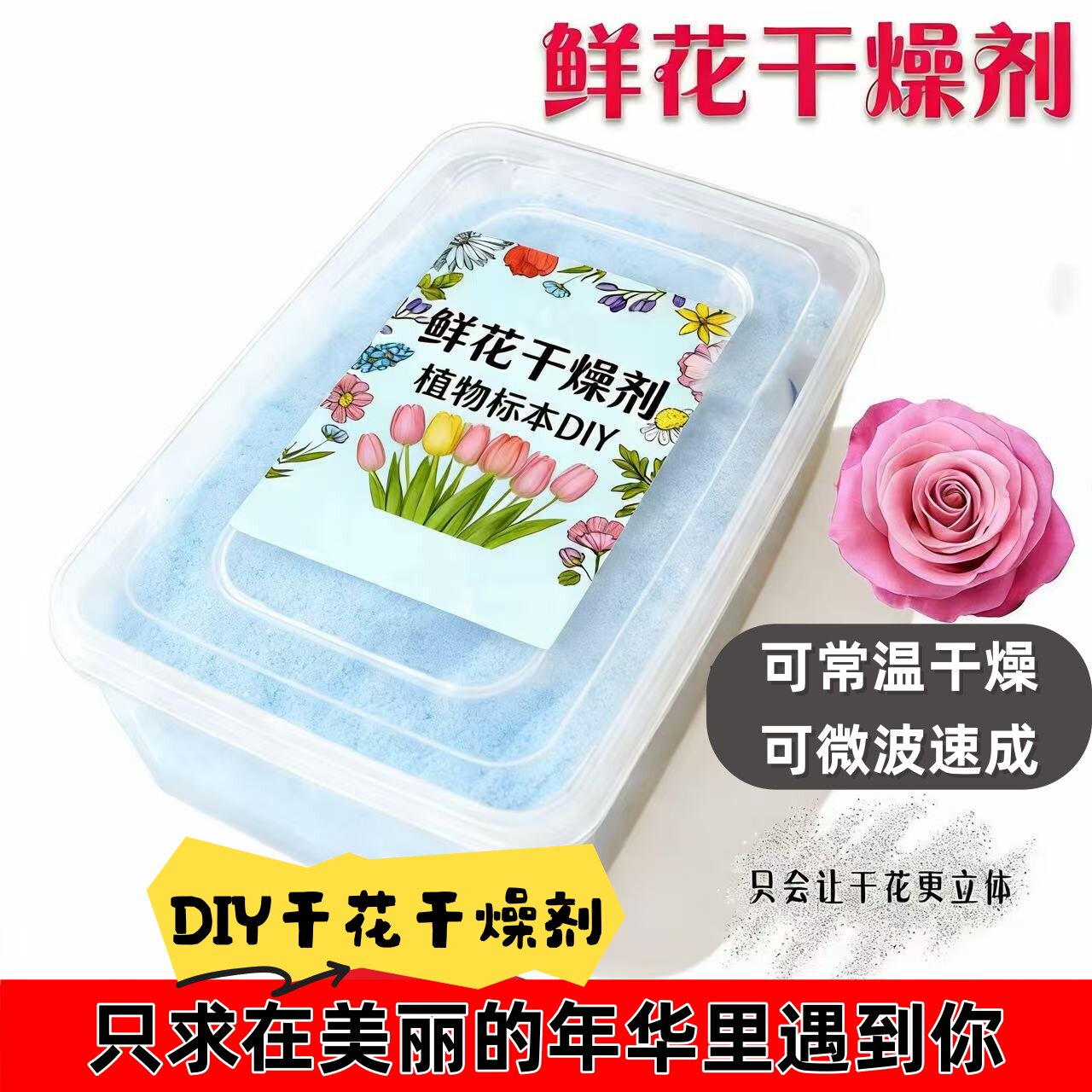 玫瑰永生花干花剂标本保存可重复