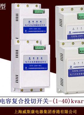 电子投K开关V式X8-XA复合-投电容250 A切45切F0   开关60A