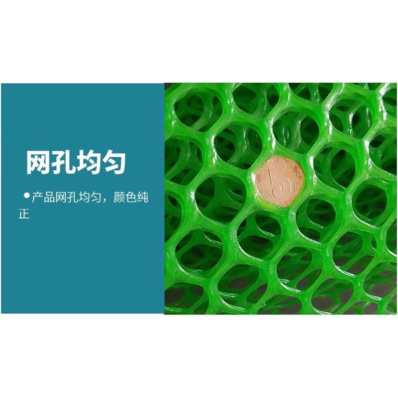 塑料围栏网格加厚绿色阳台防护栏鸡鸭鹅脚垫育雏网床养殖漏粪网