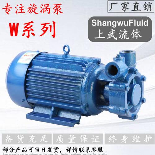 W型单级单吸旋涡式锅炉给水泵 W型旋涡泵 W系列漩涡泵
