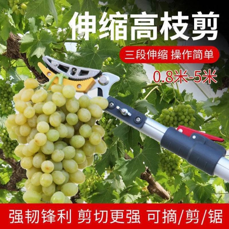 极速摘果剪摘龙眼高空剪伸缩杆多功能加长修枝剪摘果