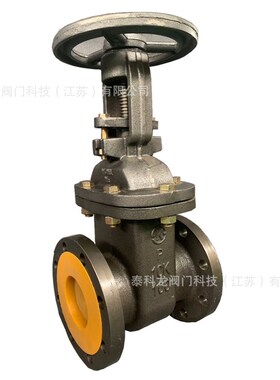 Z41HT美标日标150LB 100LB铸铁铸钢不锈钢闸阀10K截止阀DN125 300