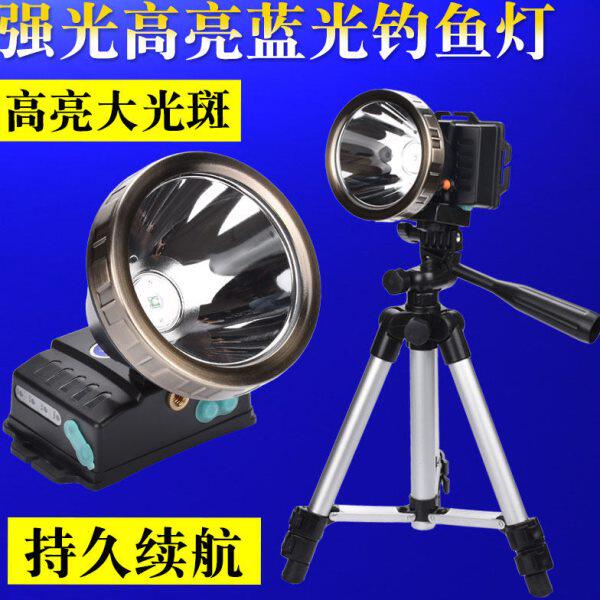 超亮蓝光充电强光大功率钓鱼灯夜钓灯紫光手电筒台钓氙气头灯钓具