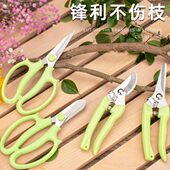 不锈钢树枝修枝剪水果园林果树修剪花卉花枝养花工具花艺园艺剪刀
