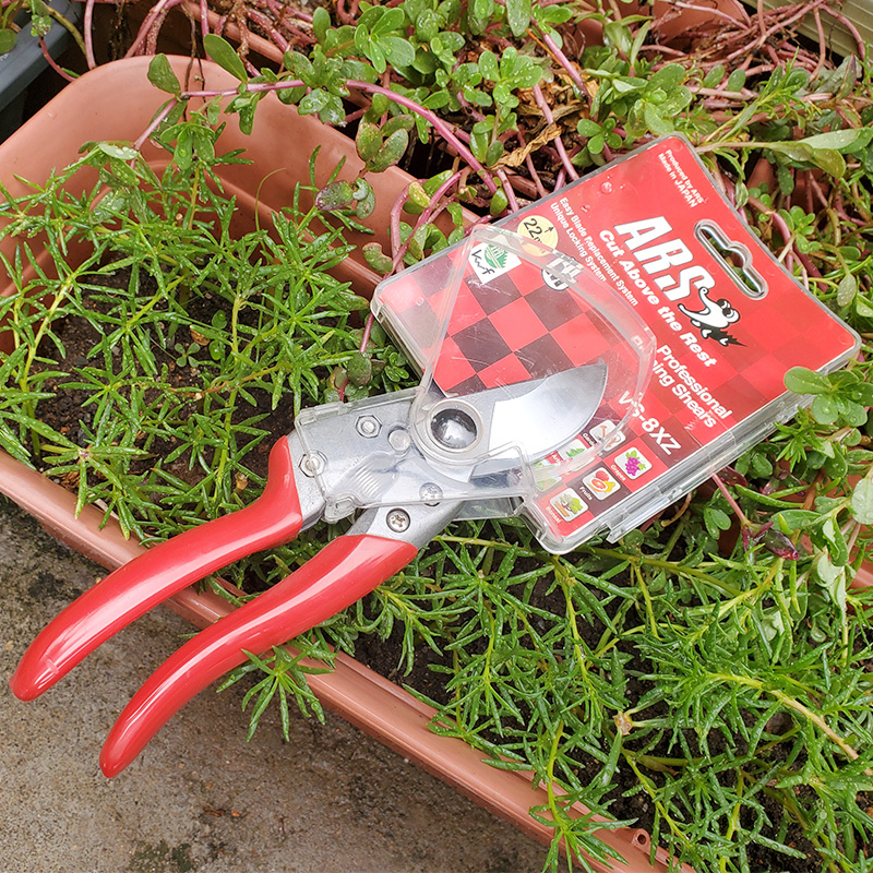 爱丽丝园艺修枝剪花枝剪爱丽思剪刀庭院130DX整枝剪V8优质枝叶剪