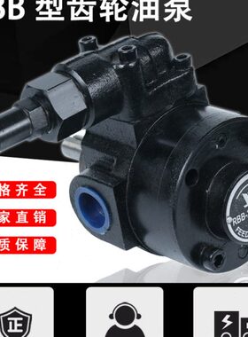摆线齿轮油泵RBB-204Y/RBB-206Y/RBB-210Y/212Y/216Y/220Y冷镦