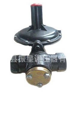 RTZ-H燃气调压器 减压阀稳定阀 煤气天然气城市小区工业锅炉用