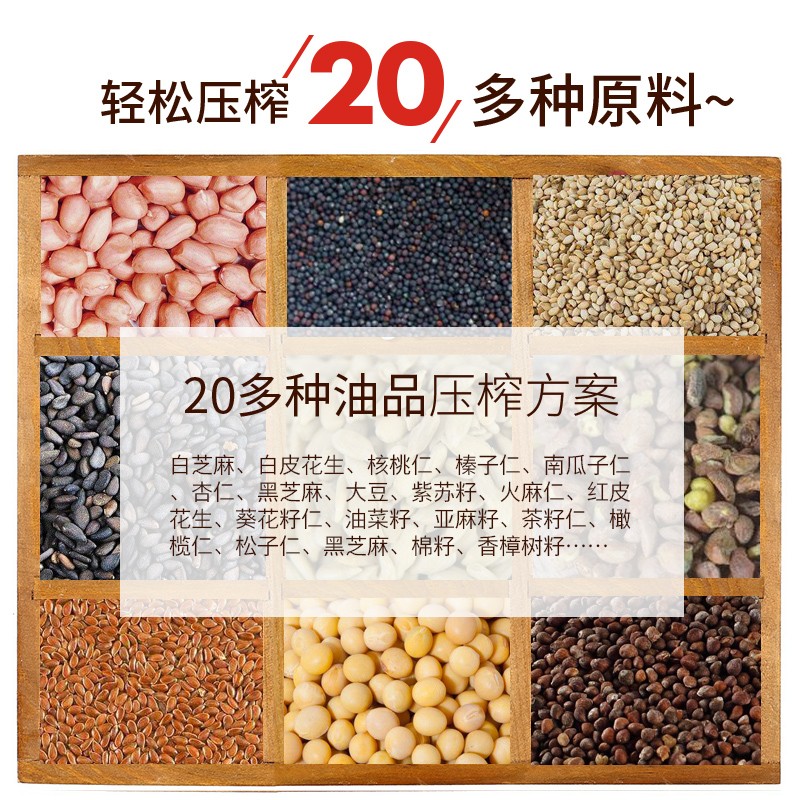 靓太家用全不锈钢榨油机LTP200 电动小型家庭商用冷热榨全自动