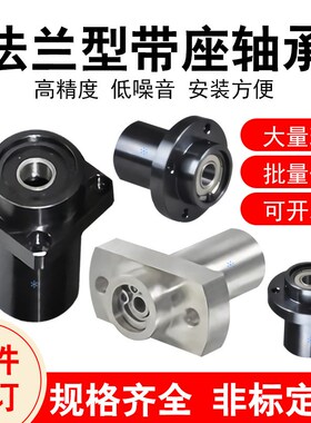 引导式双轴承座BFY01 02 03 04 06 11 12G 13 14 16 21 22 23 31