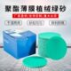 自粘砂纸抛光植绒砂纸片干磨5寸圆盘绿色打磨片沙纸圆形气磨机
