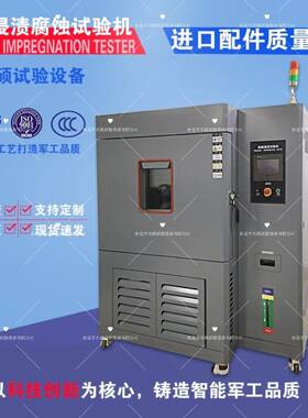 海水飞溅试验箱海水喷淋腐蚀试验箱海水浸泡腐蚀箱TS-SBC720