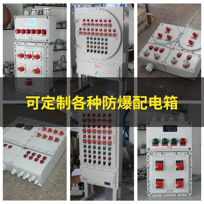 防爆配电箱增安隔爆接线空箱仪表端子动力电源控制壳开关检修BJX