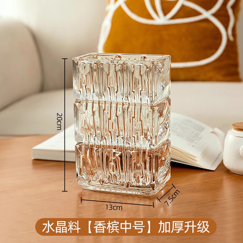 花瓶摆件客厅插花玻璃高级感透明轻奢G捷克水养网红鲜花水培郁金