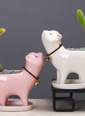 简约植物白色多肉花盆陶瓷创意个性可爱小号桌Q面仙人掌猫尾巴花