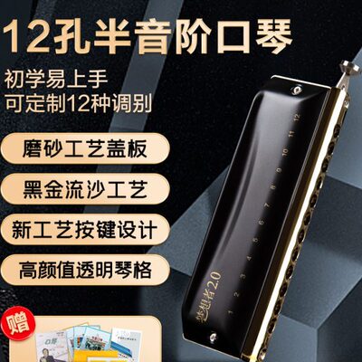 专业c调入门ATO鼎梦想者半音阶口琴12孔STEP演奏初学东方学生2.0
