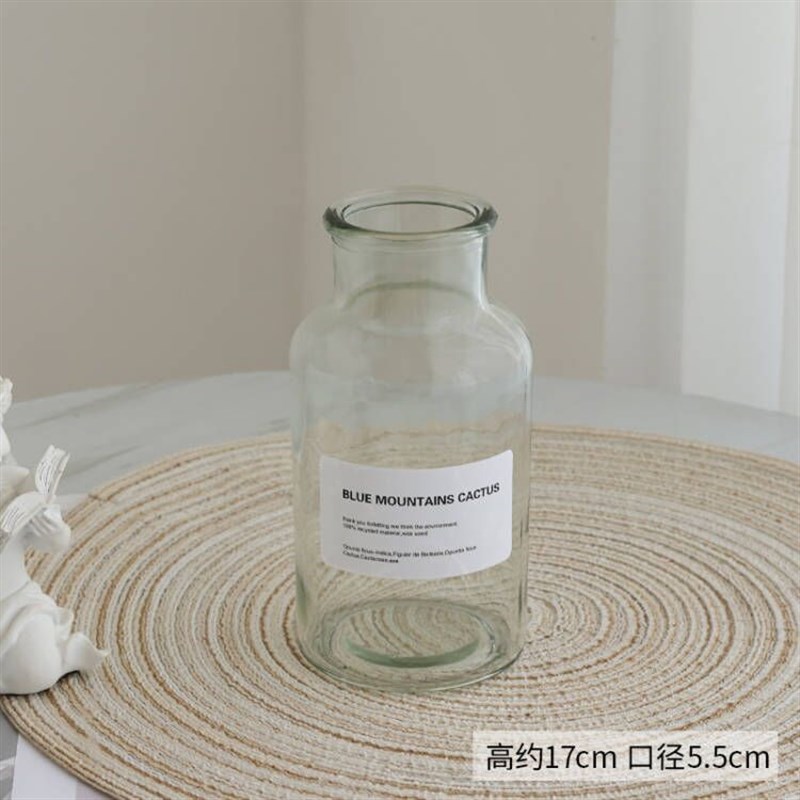 北欧风简约创意轻奢透明花瓶陶瓷花F盆花器玻璃插花瓶客厅餐桌摆