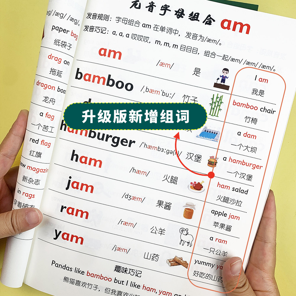 升级版||自然拼读字母组合更全面