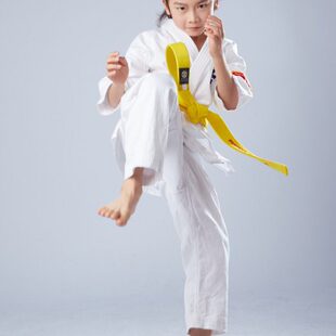 全棉极真会道服极真空手道服训练道服少儿男女通用