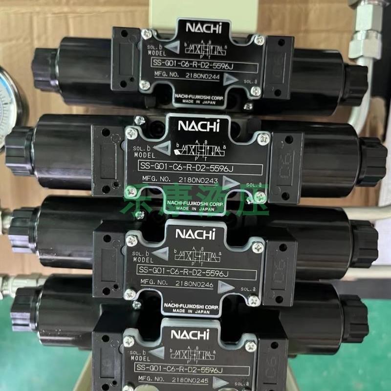 SS-G01-C6-R-DP2-5596J