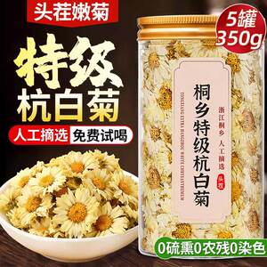 桐乡特级杭白菊清热解毒泡茶