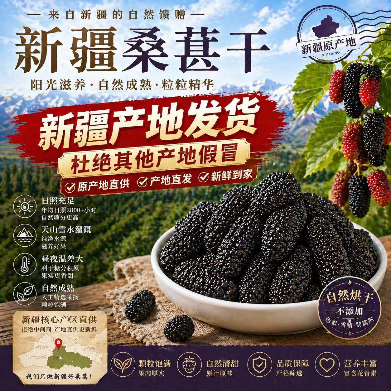 桑葚干黑桑椹特级中药材泡水泡酒泡茶专用官方旗舰店有机黑桑葚干