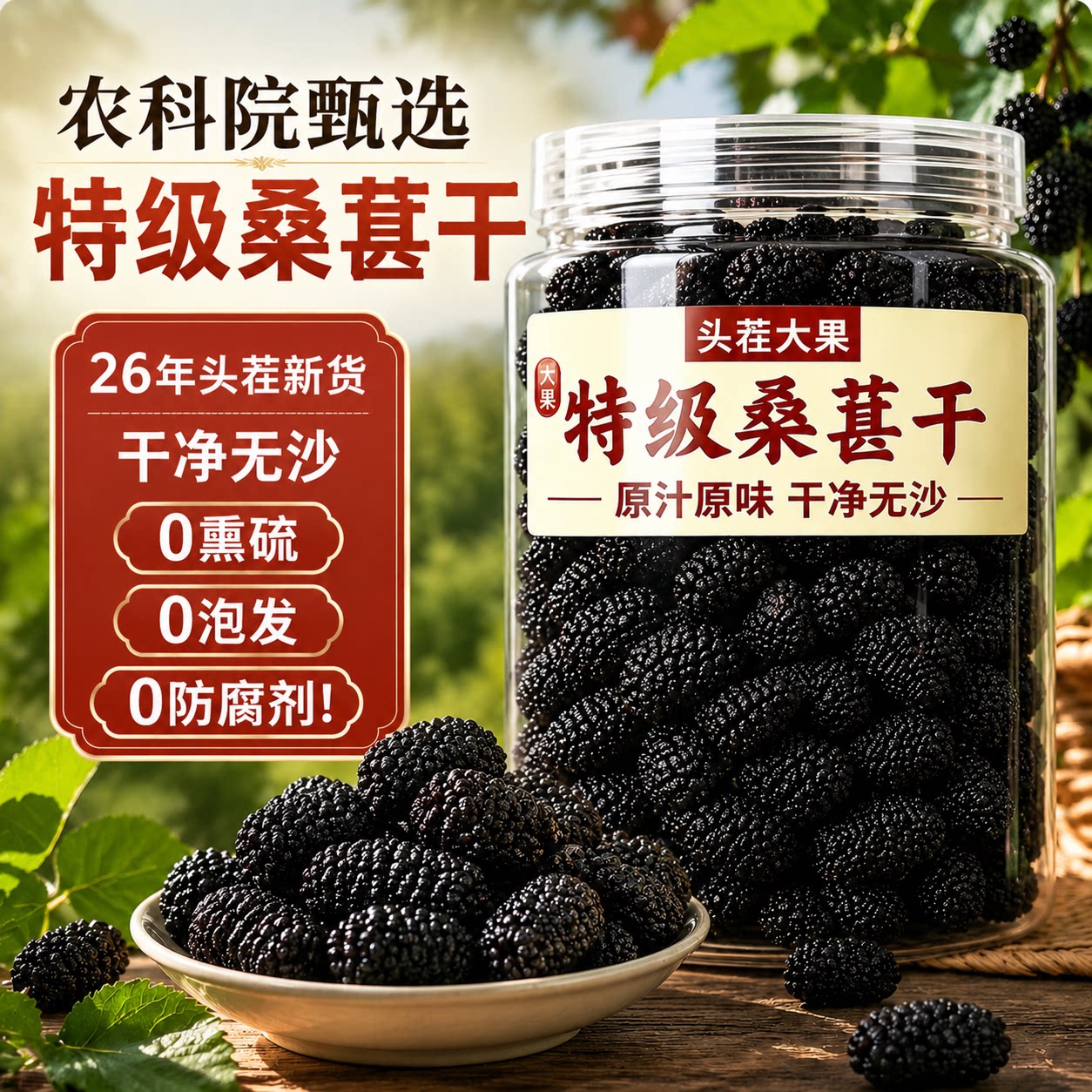 农科院新疆桑葚干黑桑葚干特级正品官方旗舰店新货即食泡水泡酒