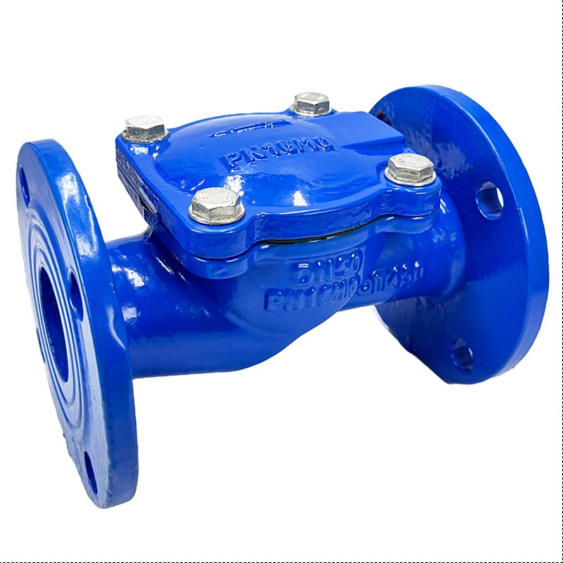 橡胶瓣止回阀H44X-16Q球墨铸铁单D向阀卧式止回阀污水自来水 DN50