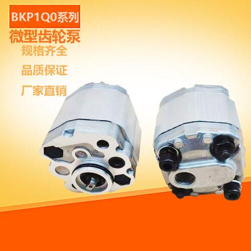 定制微型齿轮泵BKP1QOS0.8/S1.1/S1.6/S2.1/S2.7/S3.2/S4.8/7G0L1