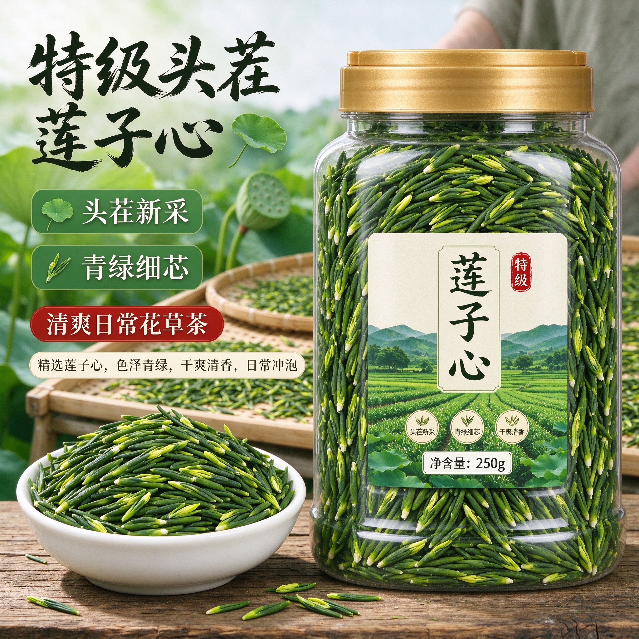 特级野生莲子心茶清心火
