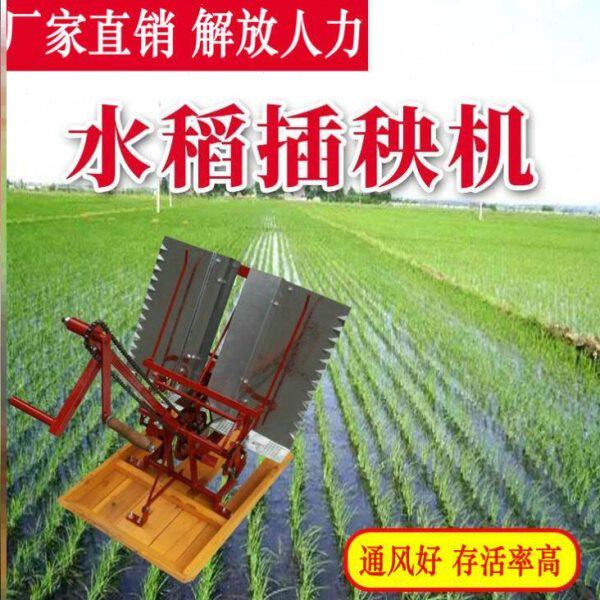 手动插秧机小型全自动水田水稻栽秧机家用栽F秧神器插禾机农用机