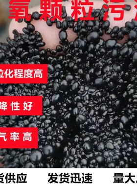 厌氧颗粒污泥厌氧适合各类污水的厌氧池或厌氧塔去除cod1吨