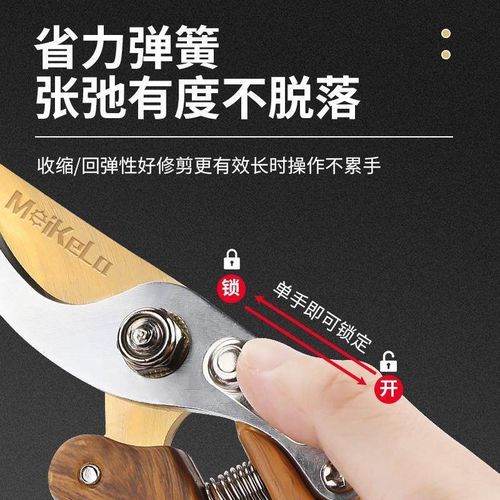 修枝剪园艺剪刀剪树枝专用园林修剪果树修枝花艺修花剪剪枝剪粗枝