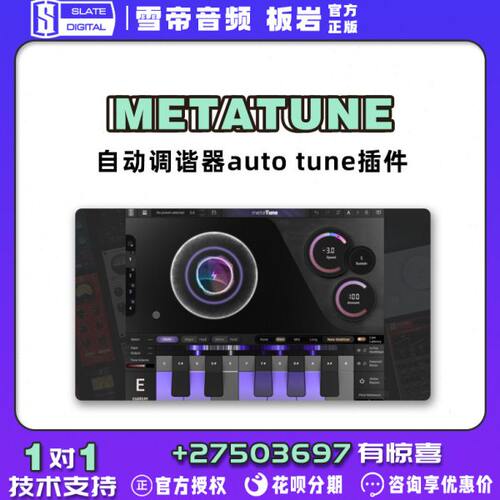 Slate Digital MetaTune 自动调谐器auto tune插件