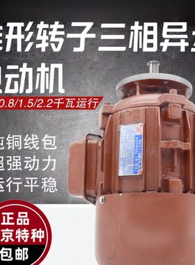 Z特种电动机124Y电机转子相异步锥形南京.电动葫芦D型三跑车4KW0-