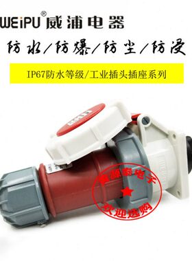 威浦暗装直式16A4芯航空工业插头TYP173配插座TYP5619防水IP67