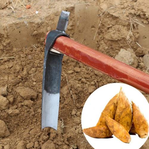 挖冬笋专用锄头挖竹笋神器锰钢农用工具大全挖地种菜锄头挖树桩