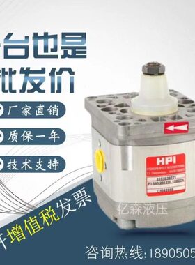 法国HPI齿轮油泵P2BAN2512/2515/2518/2522/2620/2625/2627/2630