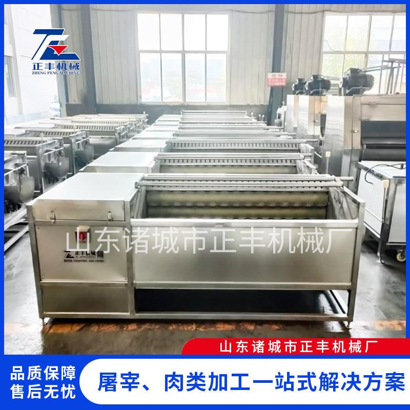 毛牛羊头蹄清洗设备洋芋红薯地瓜清洗去皮机全自X动猪辊清洗机