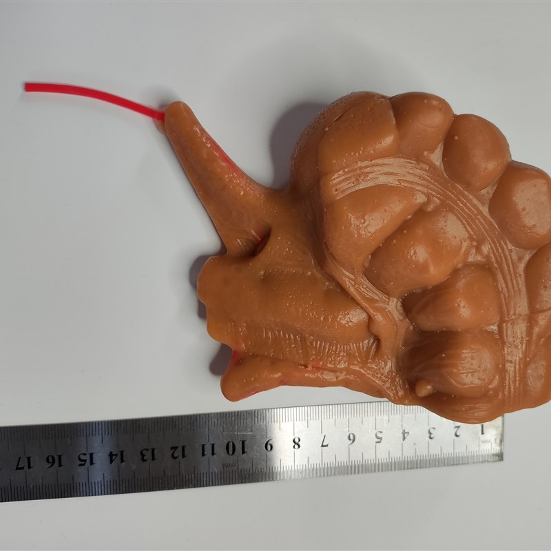 外科腹腔镜阑尾切除3D模型模块