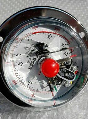 嵌装式轴向带边耐震磁助电接点压力表 直径100mm pmax-50va～30w