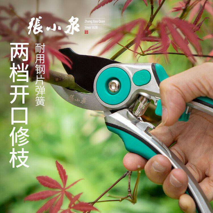 张小泉修剪树枝剪刀 园林工具修花剪枝园艺剪刀果树花艺绿化枝剪