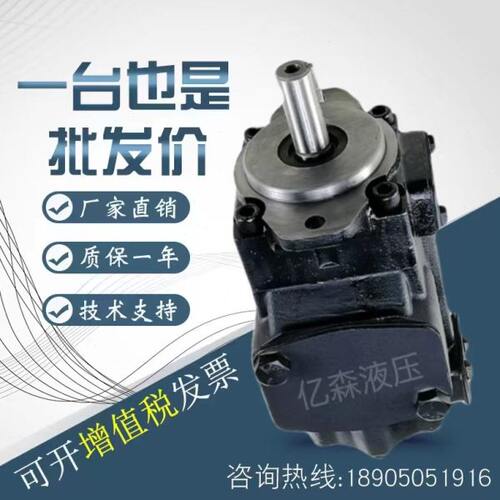丹尼逊DENISON油泵T6EC-062-003~031 3R00 B1 3R01/3R02/3R03 C1