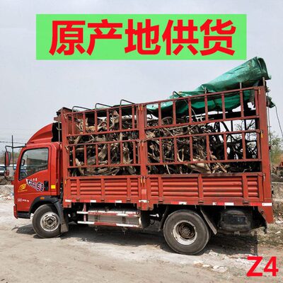 太行山崖柏原木崖柏木料原木料陈化崖柏木料毛料太行原木岩柏挂件