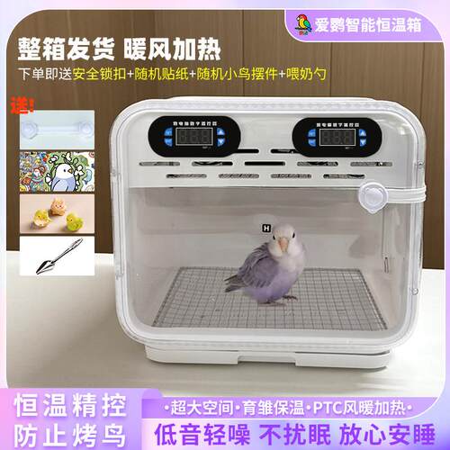 鹦鹉保温箱幼鸟专用雏鸟恒温过冬玄凤专用风暖育雏小型半毛成鸟