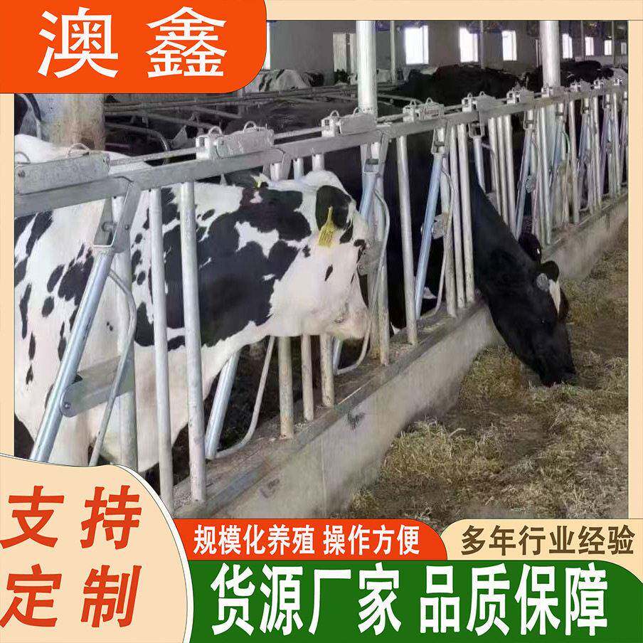牛颈夹羊颈夹牛羊用设备牛颈枷牛场热镀锌牛栏位加厚牛颈枷羊颈枷