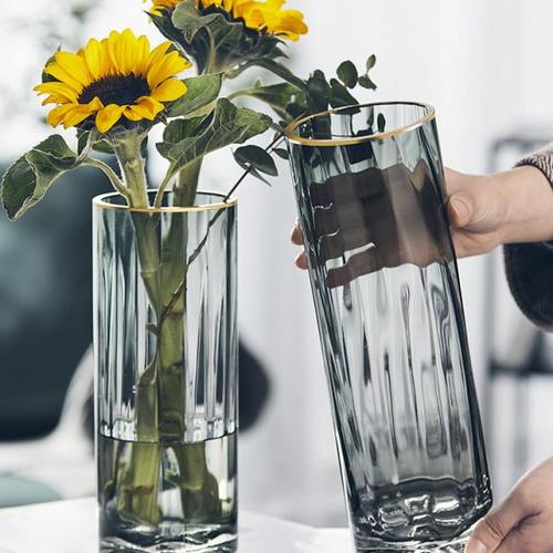 轻奢北欧简约条纹玻璃花瓶透明水养鲜花富贵竹插花瓶客厅装饰摆件