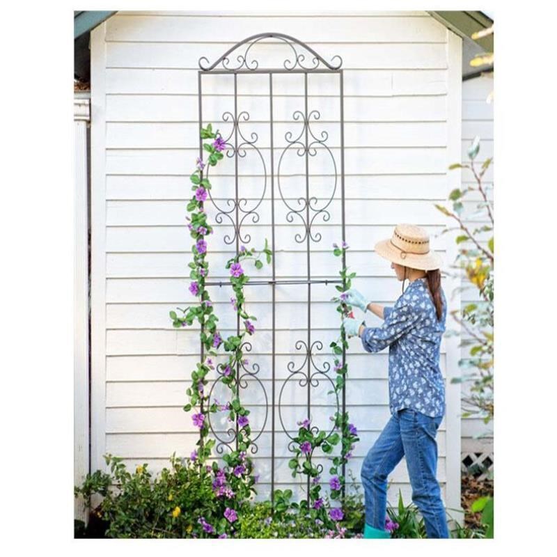 铁艺爬藤架攀爬花支架爬藤支架花盆支架 铁线莲爬藤W架花支撑篱笆