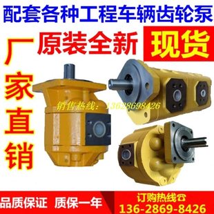 小装龙工818装载机夹木机行走泵齿轮油泵CBGJ0025正宗原厂泉城泵